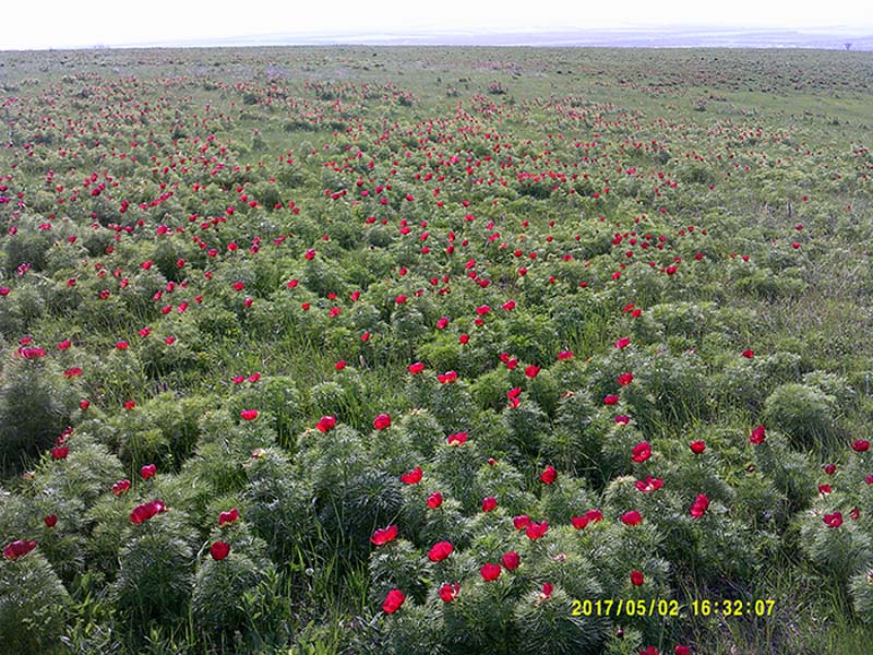 Фото Отрадненского Района