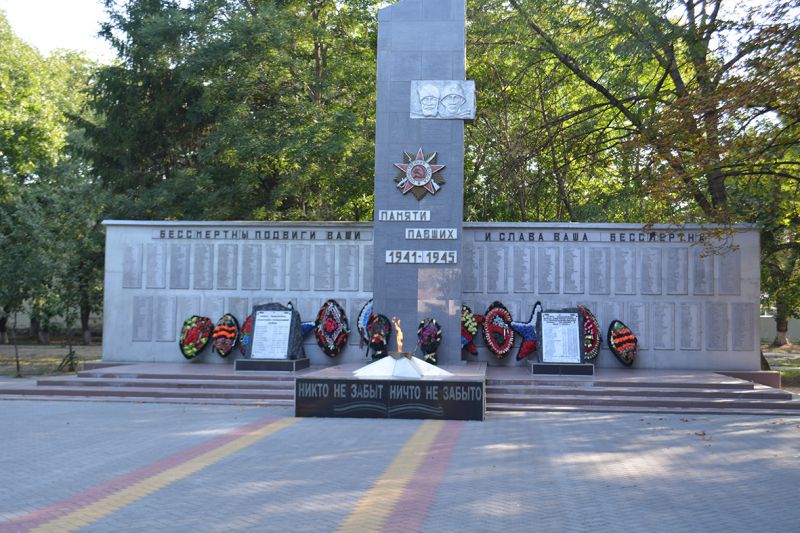 Парк софора отрадная краснодарский край